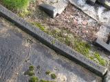 image of grave number 855805